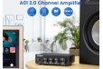 AIYIMA A01 100W 2-Channel Class-D Amplifier