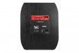 Aperion Daedalus DS15 15" Powered Subwoofer (Black Oak)
