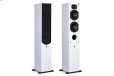 Aperion Intimus 5T Tower Speakers (Pair, Pure White)