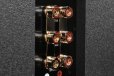 Aperion Theatrus Quad 8" 3-Way Flagship Main Speaker Aperion Theatrus Quad 8" 3-Way Flagship Main Speaker