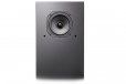 Ascendo CCM5-P High Performance 100W 3D Sound Cinema Speaker Each