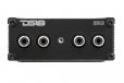 DS18 2CLC 2-Channel Line Output Converter with Digital Bass Enhancer