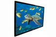 Elite Screens R84RH1 84" Fixed Rear Projection 16:9 Screen