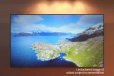 Elite Screens EF135H-PST Polar Star eFinity 135" 16:9 Thin Edge