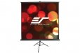 Elite Screens T100UWV1 100" 4:3 Portable Tripod Screen