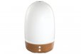 Homedics Ellia Thrive White Ultrasonic Light Oil Aroma Diffuser