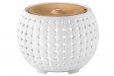 Homedics Ellia Gather White Ultrasonic Light Oil Aroma Diffuser
