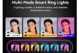 Emeet SmartCam S600L 4K Streaming Webcam with Built-in Ring Light