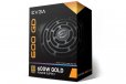 EVGA 600 GD 600W Power Supply 80 Plus Gold PSU 100-GD-0600-V4