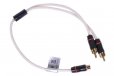 Fusion MS-RCAYM RCA Splitter Cable Female to Dual Male Connector
