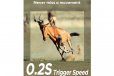 iZeeker IG200 20MP 1080P Trail Camera