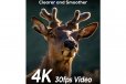 iZeeker IG400 48MP 4K Ultra HD Trail Camera