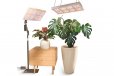 LetPot Smart Indoor Full Spectrum Grow Lights - 60 Watts