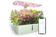 LetPot Air 10 Pods Hydroponic Growing System