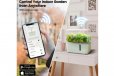 LetPot Mini 5 Pods Smart Indoor Garden Kit