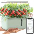 LetPot Mini 5 Pods Smart Indoor Garden Kit