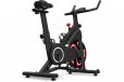 Lifespan Fitness SM-120 Spin Bike with Automatic Magnetic Resistance