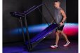 Lifespan Fitness Reformer 2 Safety Rehabilition Treadmill