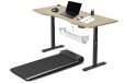 WalkingPad M2 Treadmill w/ ErgoDesk Auto Oak Standing Desk 1500mm
