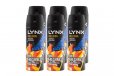 6 x LYNX 165ml DEODORANT BODYSPRAY COLLISION SKATEBOARD AND FRESH ROSE