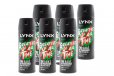 Lynx 165ml Deodorant Body Spray Africa - 6 Pack
