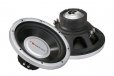 Nakamichi SP-W31D 12" DVC Subwoofer