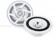 Pioneer TS-MR1600 6.5" Dual-Cone Marine Speakers