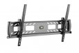 Prolink 45Kg Tiltable Curved or Flat Panel TV Wall Mount BKT1039