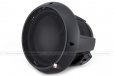 Rockford Fosgate T0D210 10" DVC Subwoofer