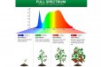 Sansi E27 60W LED Grow Light, Folding Wings