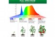 Sansi E27 15W LED Grow Light