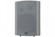 WiiM Salon Background Music System Streaming Amp Indoor Speakers