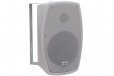 WiiM Streaming Amp w/ Outdoor Deck Speakers
