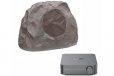 WiiM Streaming Amp w/ Secret Garden Speaker