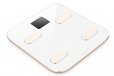 Yunmai Color Smart Scale Body Fat Composition Monitor App Gold