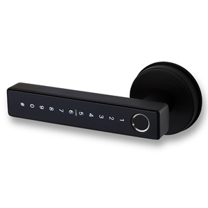 Auslock Novo Series N25 Door Handle Smart Lock - Black