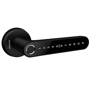 Auslock Novo Series N31B Door Handle Smart Lock - Black