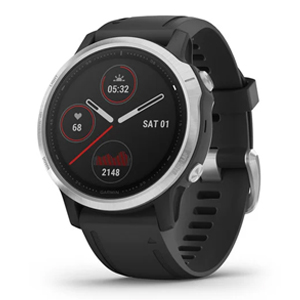 Garmin Fenix 6S GPS Watch Multisport Silver w/ Black Band 010-02159-01
