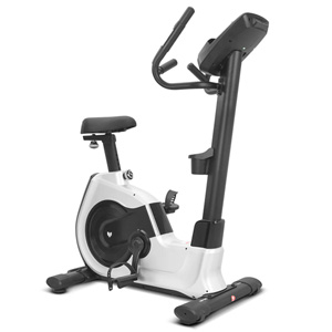 Lifespan Fitness EXC-100 Commerical Exercise Bike