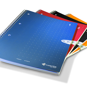 Livescribe ANX-00001 A4 Single Line Notebook (4 Pack)