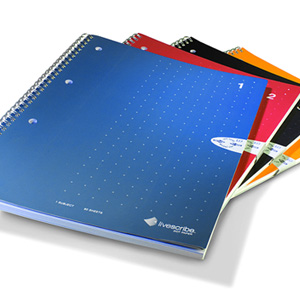 Livescribe ANX-00001 A4 Single Line Notebook (4 Pack) Livescribe ANX-00001 A4 Single Line Notebook (4 Pack)