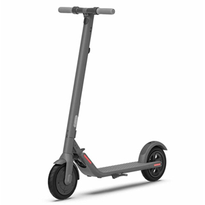 Segway Ninebot Electric Kickscooter E22