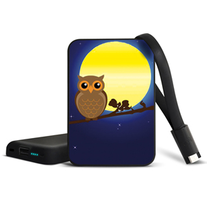 Smartoools MC10 LED 10000 mAh Power Bank Battery Charger Owl