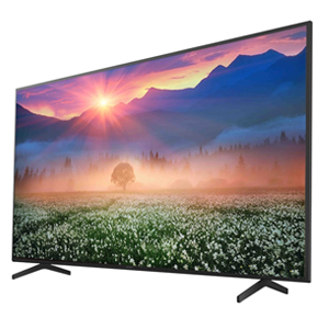 Sony Bravia TV 65" Standard 4K HDR X-Reality PRO AirPlay FWD65X80H