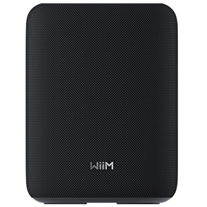 WiiM Sound Lite Smart Speaker - Black