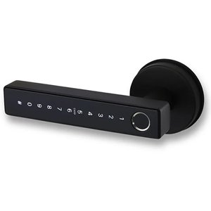 Auslock Novo Series N31B Door Handle Smart Lock - Black