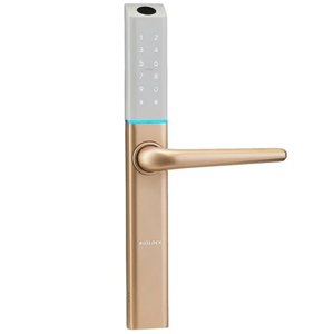 Auslock Slim Series Smart Lock S3 - Gold