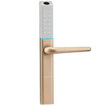 Auslock Slim Series Smart Lock S3 - Gold