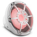 DS18 NXL-10SUB NXL 10“ Marine Subwoofer With LED RGB Lights - White
