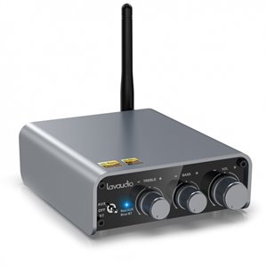 Lavaudio DS300 200W Bluetooth DAC 2 Channel Amplifier